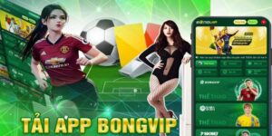 Tải Bongvip – Hướng dẫn cập nhật phiên bản cho Android và iOS 